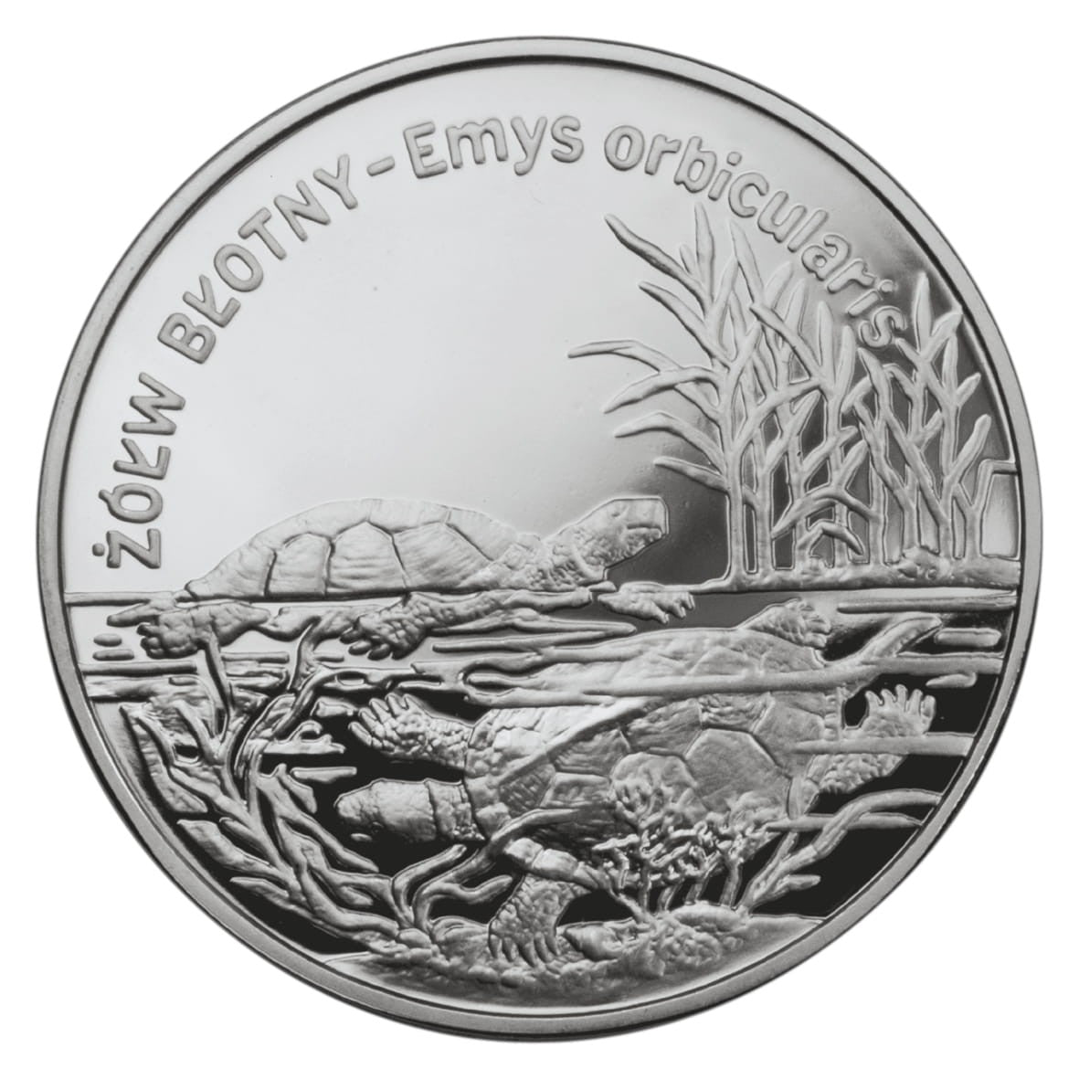 20 zł / 2002 r. - Żółw błotny