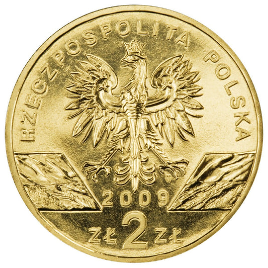 2 zł / 2009 r. - Jaszczurka Zielona