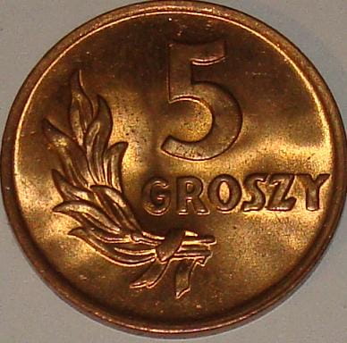 POLSKA 5 Groszy / 1949 r.