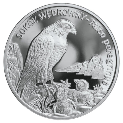 20 zł / 2008 r. - Sokół wędrowny