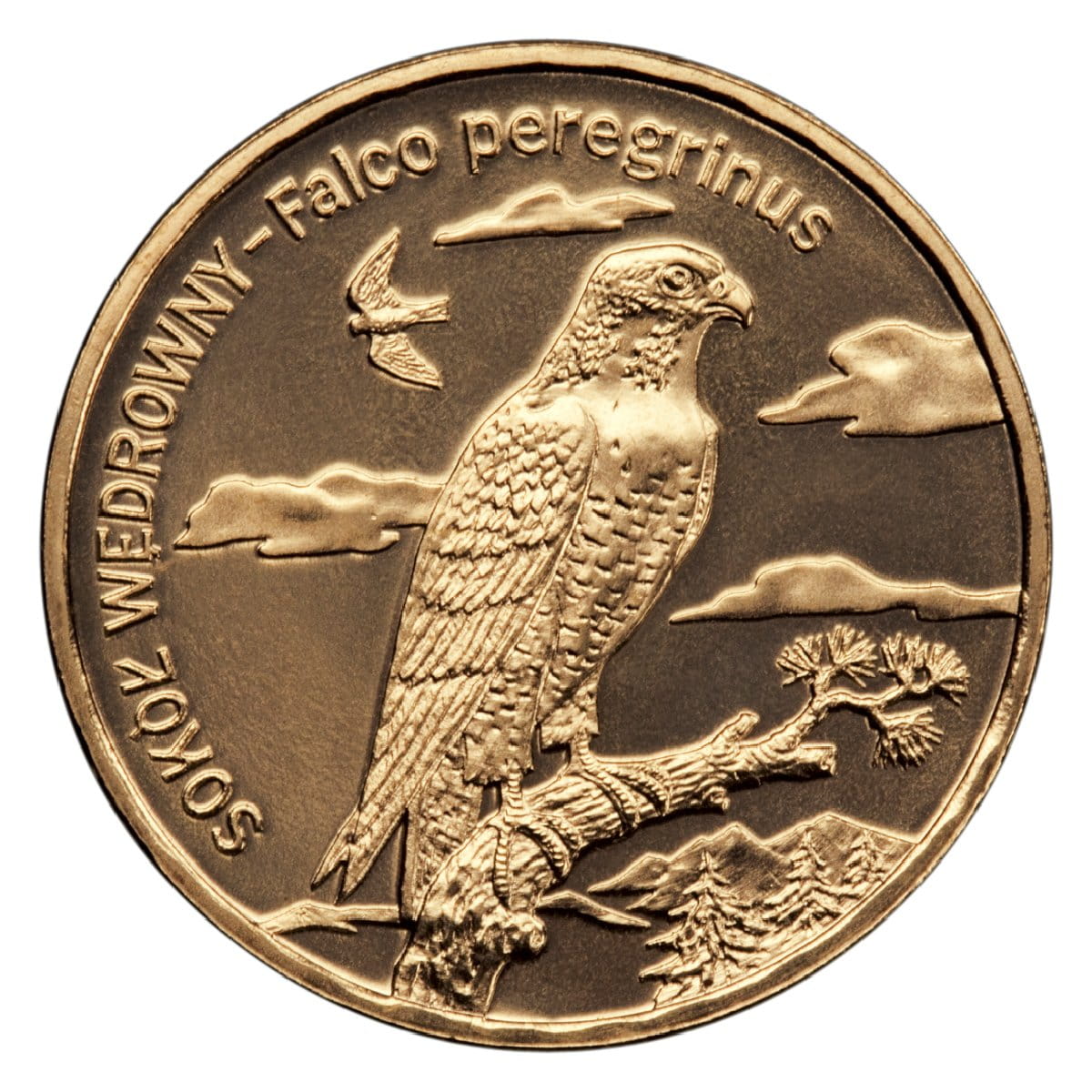 Woreczek - 50 sztuk: 2 zł / 2008 r. - Sokół Wędrowny